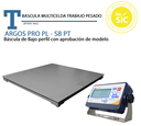 Ensayo Balanzas de >300 a 1 000 kg